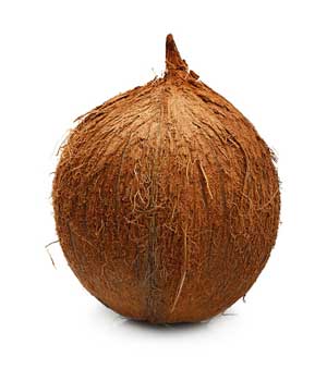 Coconut | തേങ്ങ 