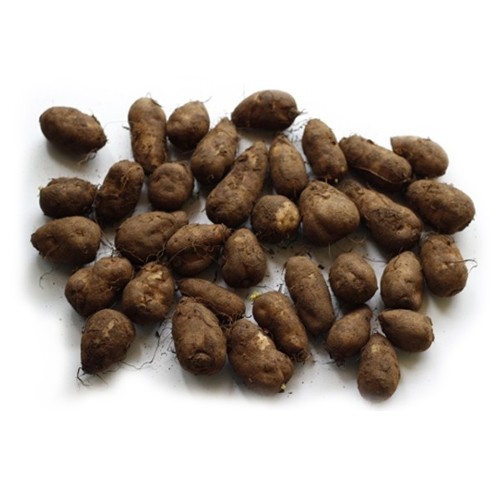 കൂർക്ക / Koorkka / Chinese Potato ( 250 g ) 