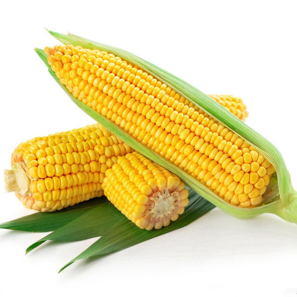 ചോളം / sweet corn ( 1 piece ) 