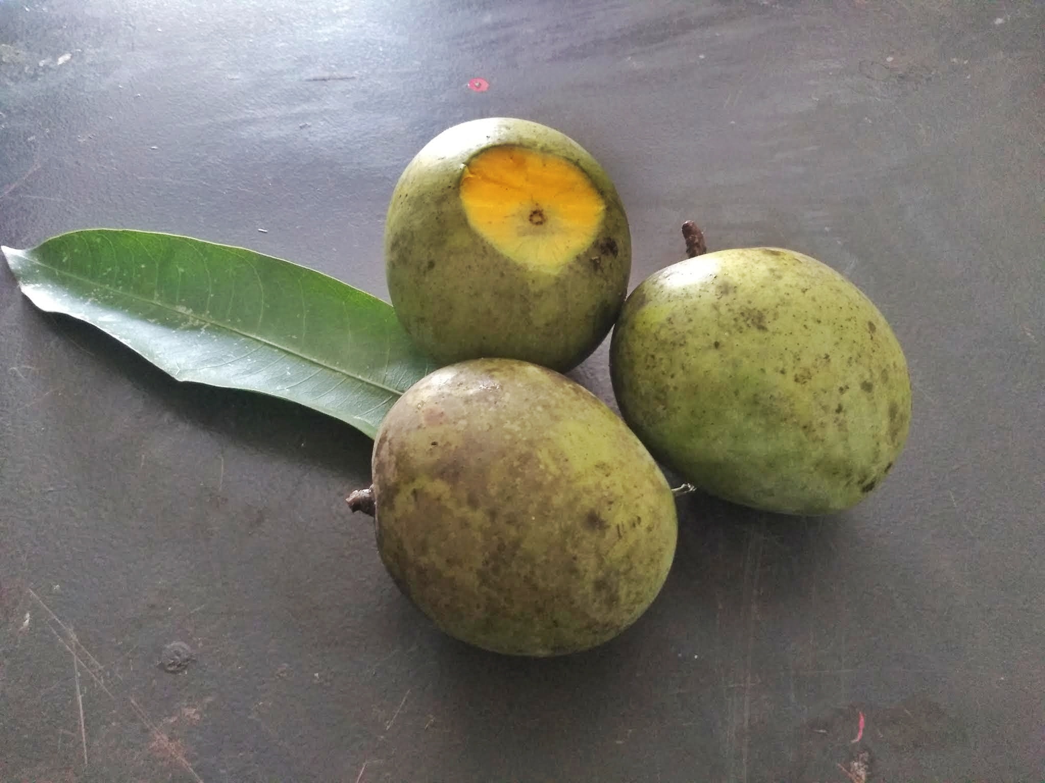  Moovandan Mampazham | മൂവാണ്ടൻ മാമ്പഴം | semi ripen 