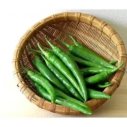 Green chilli | പച്ച മുളക് 