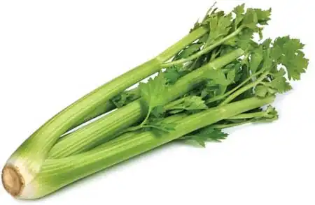 Celery leaves  