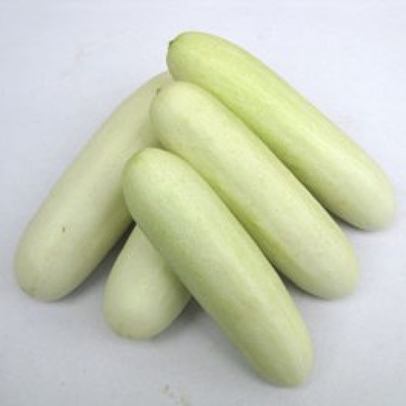 Snow White Salad Cucumber | സാലഡ് വെള്ളരി (500 g) 