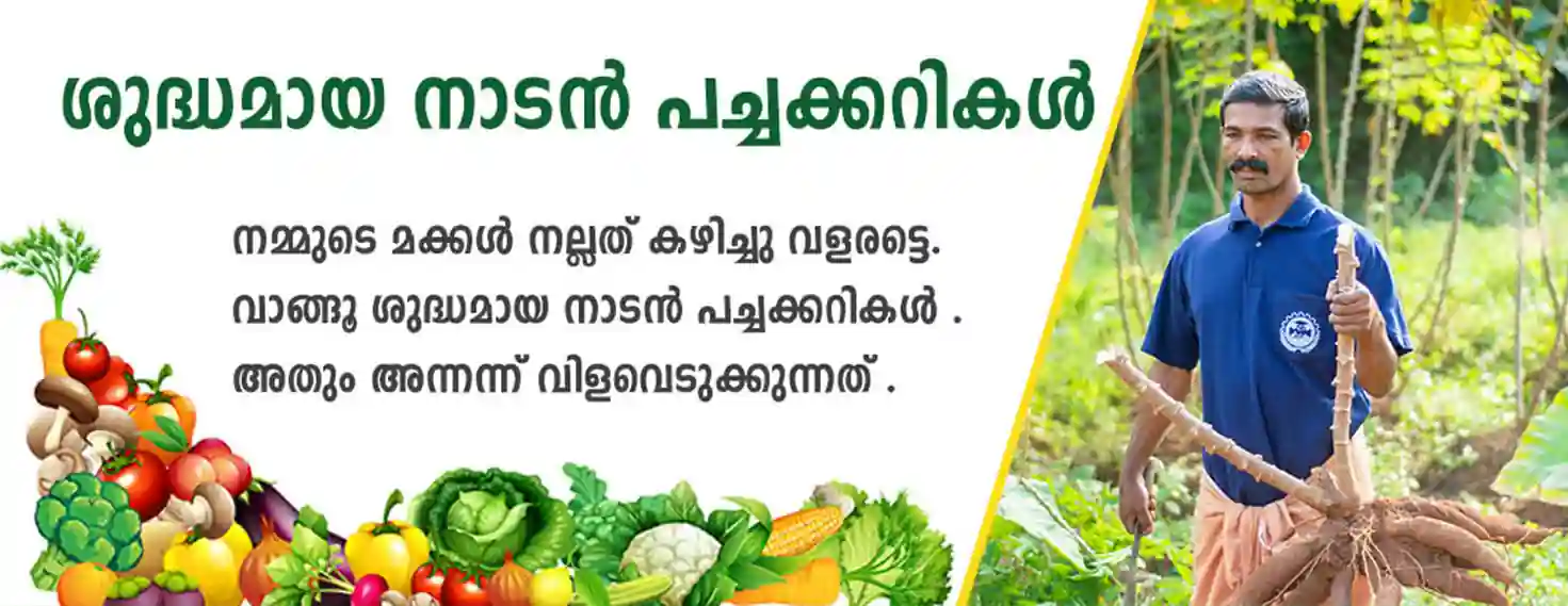 Freshest vegetables Kochi